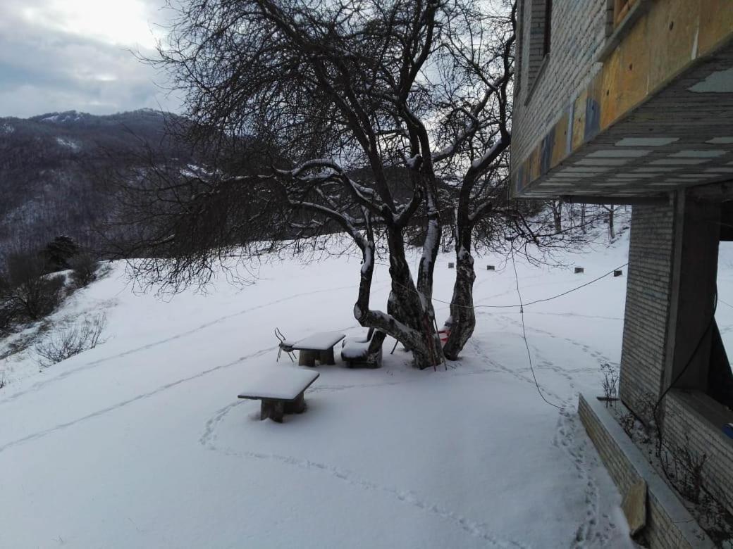 Bujtina E Tomorrit Hotel Ujanik Zewnętrze zdjęcie